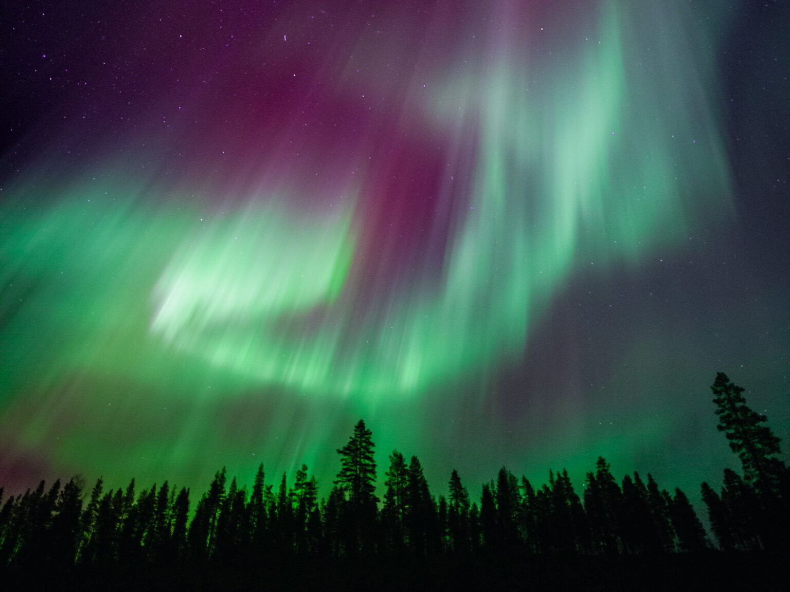 Where are the northern lights? 