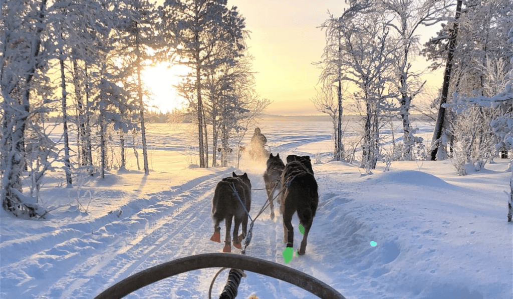 lapland holidays