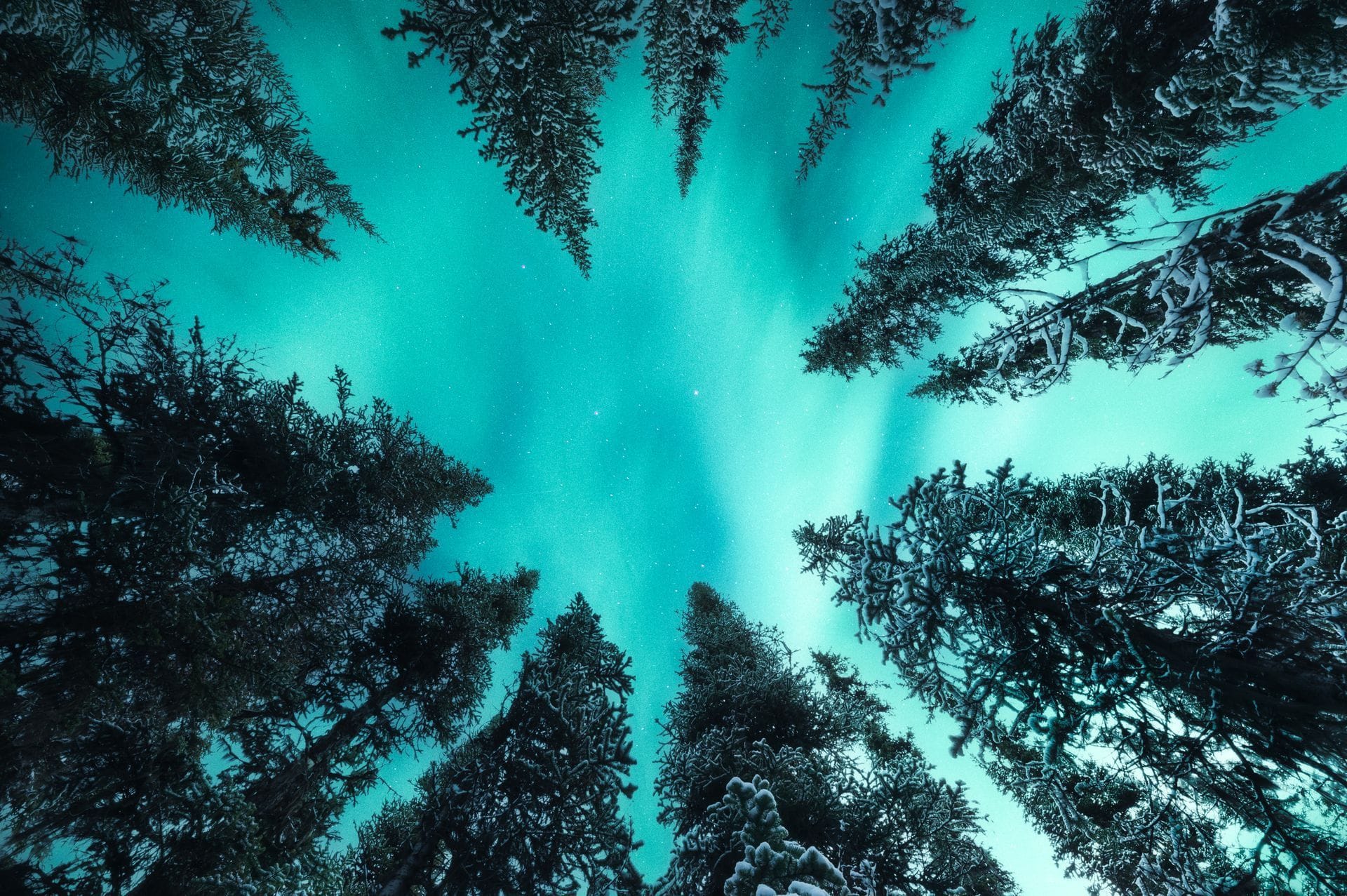 Aurora-Jagd