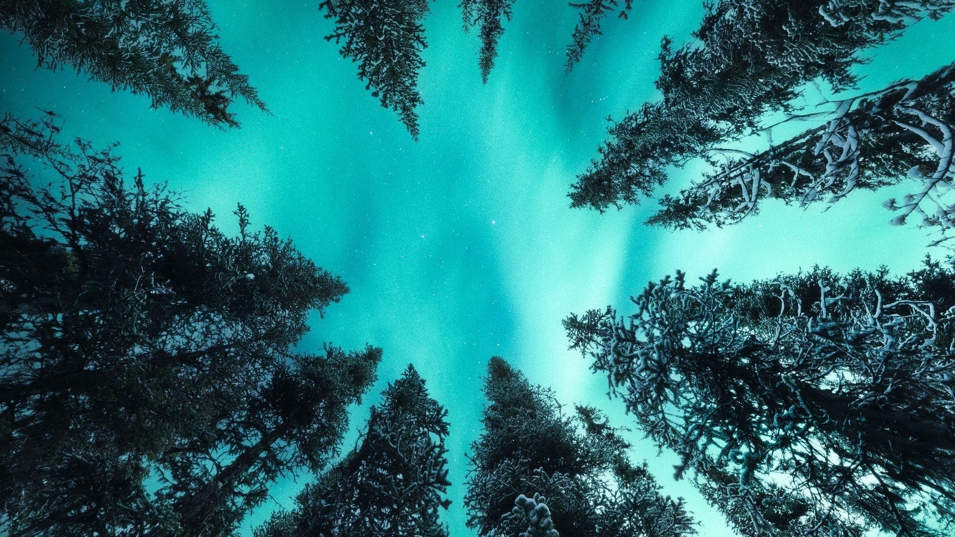 Aurora lights