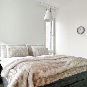 Hostit Arctic Apartments V