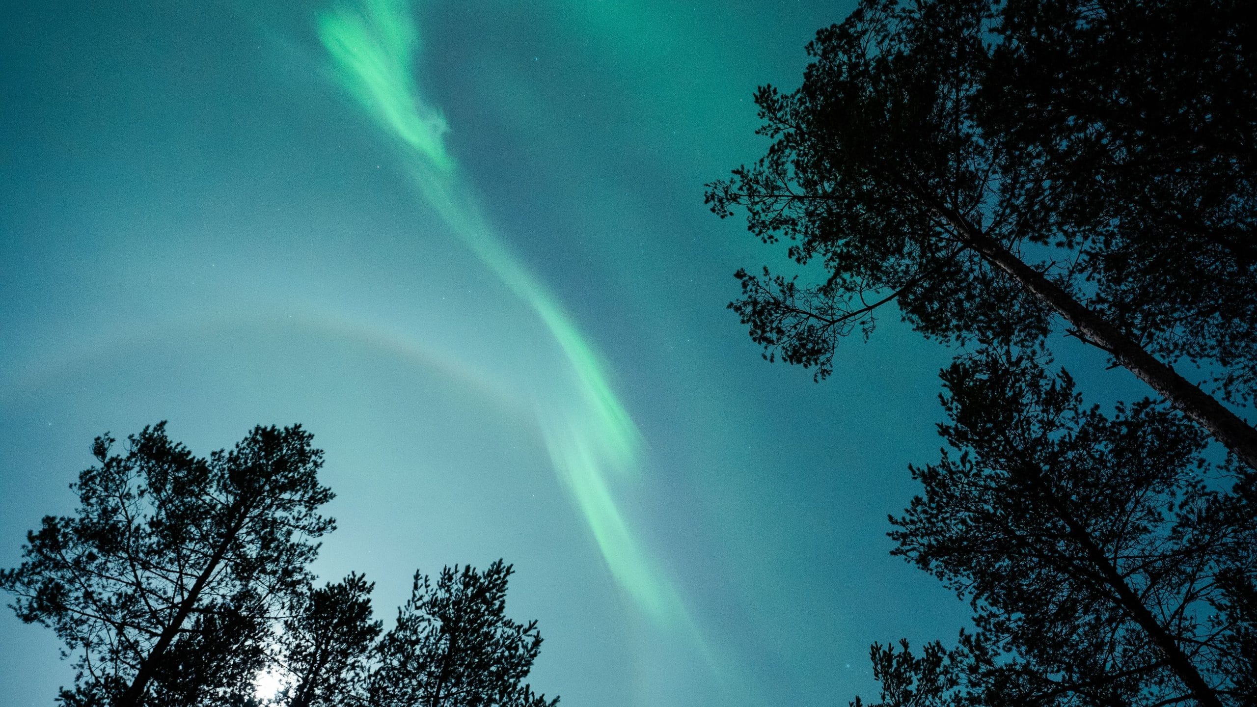Versteckte Orte, um Nordlichter in Lappland zu sehen - Top-Aurora-Spots
