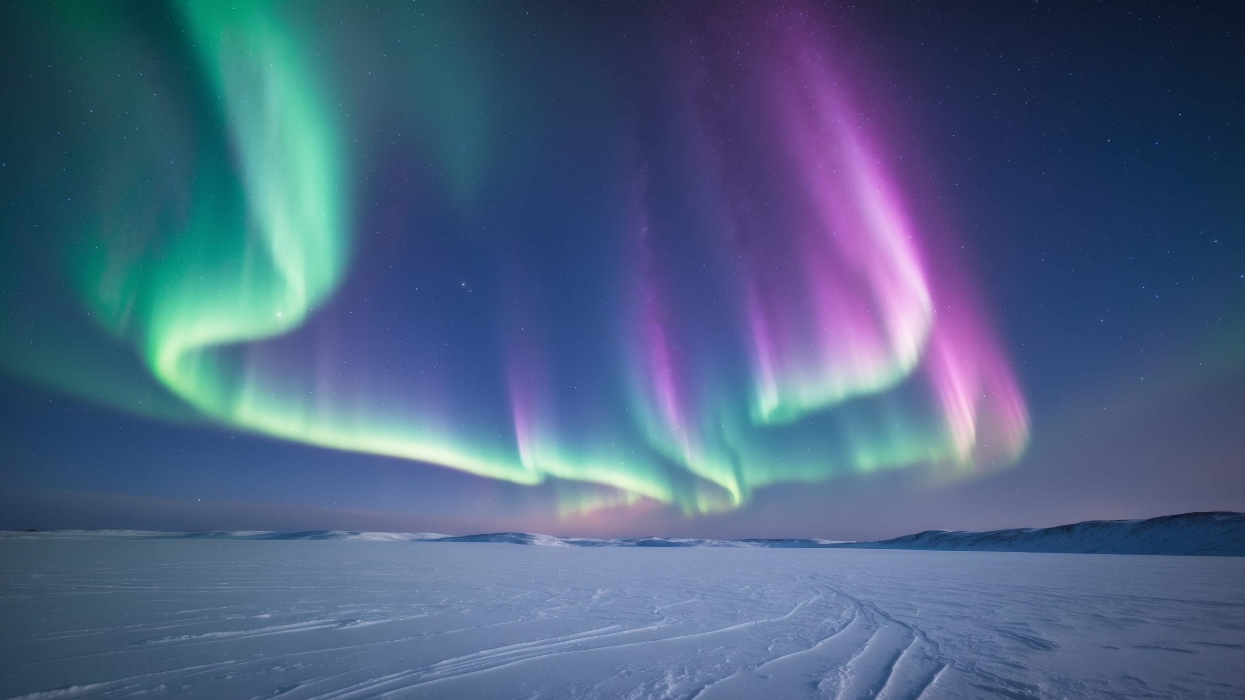 aurora-tours-in-lapland