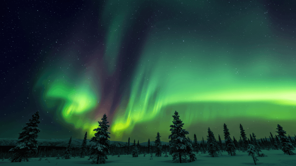 Can you see the Northern Lights in Lapland in December? 