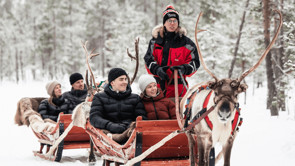 Lapland in December: What to Know Before Your Winter Trip 